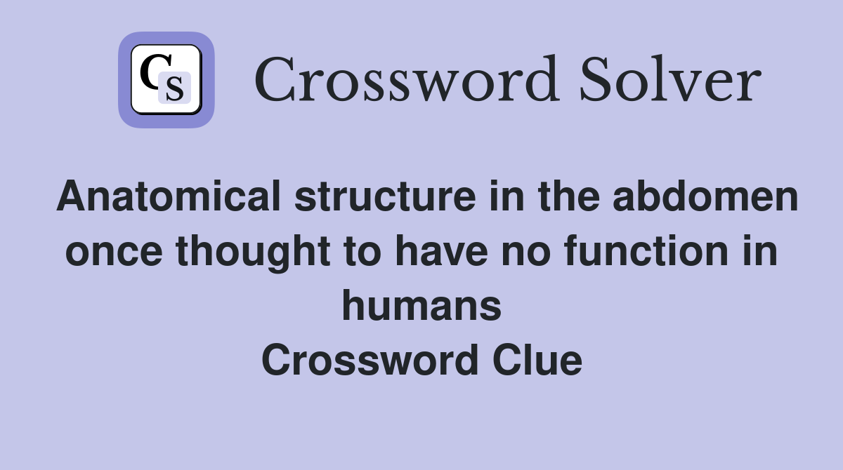 Anatomical structure in the abdomen once thought to have no function in humans Crossword Clue