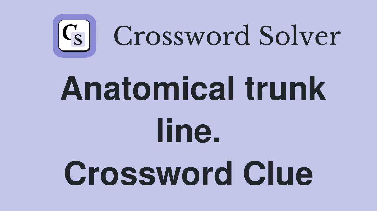 Anatomical trunk line. Crossword Clue