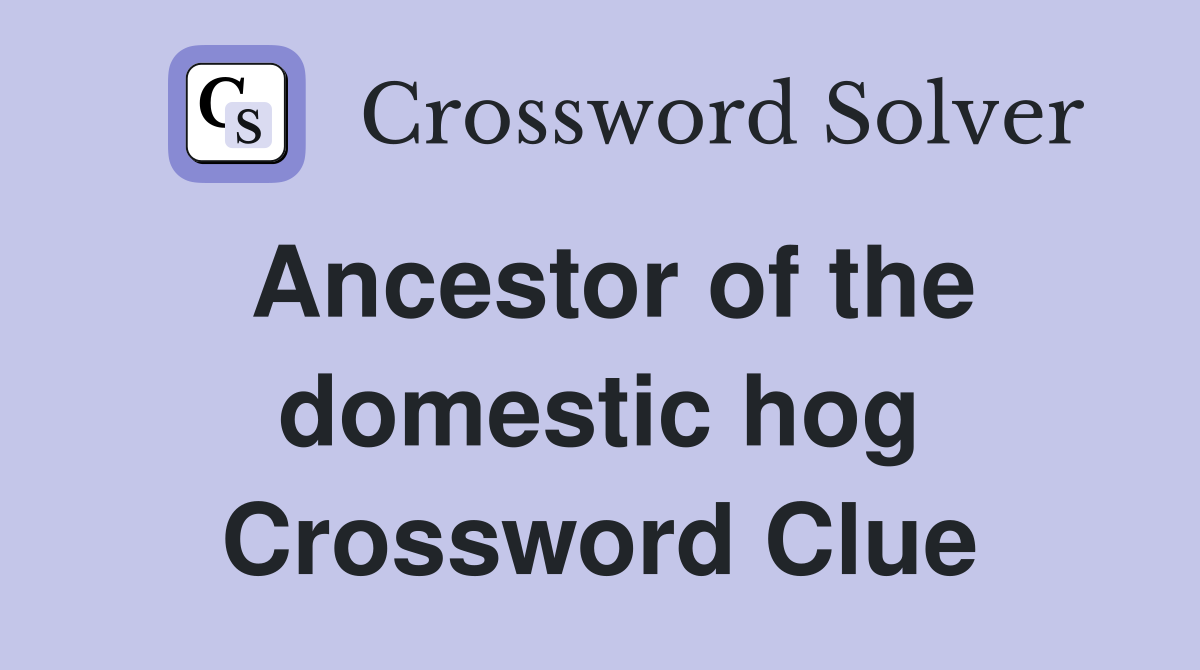 Ancestor of the domestic hog Crossword Clue