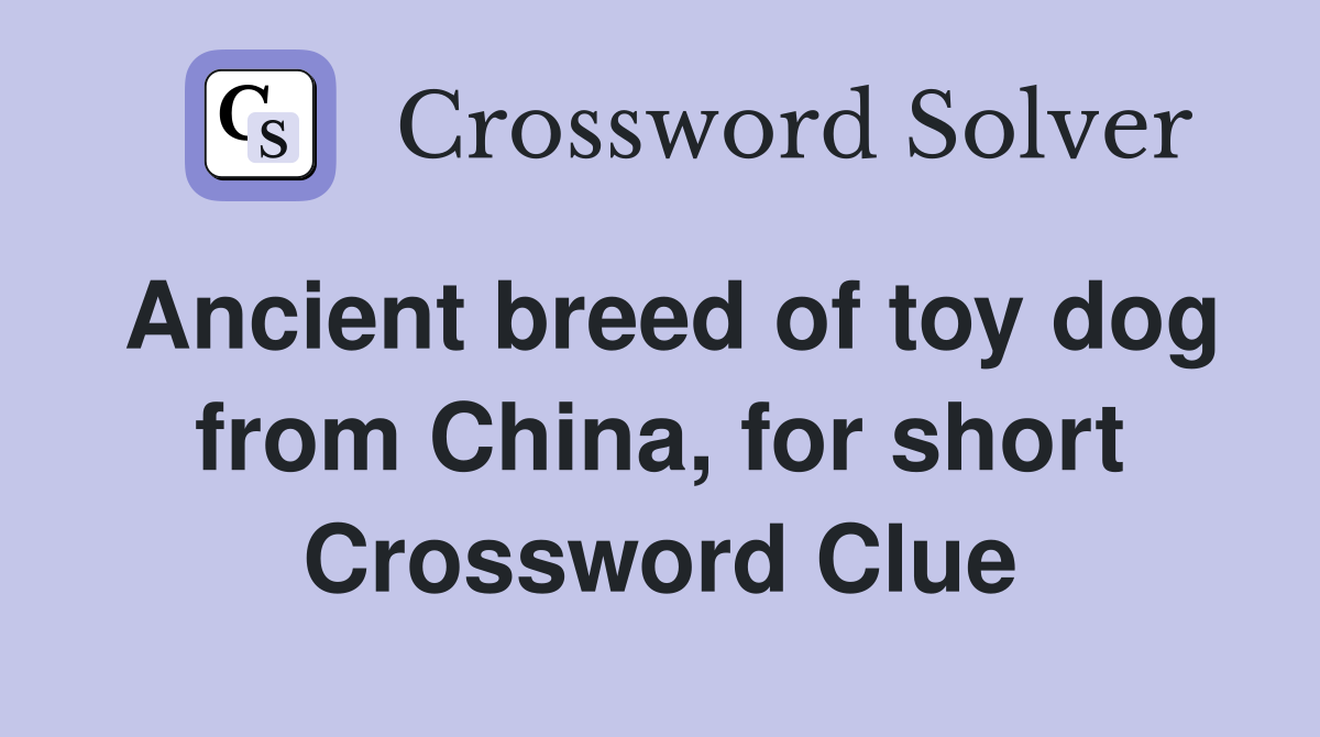 Ancient breed of toy dog from China, for short Crossword Clue