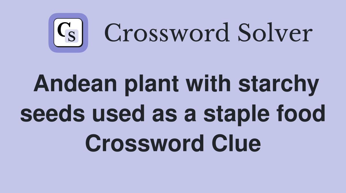 Andean plant with starchy seeds used as a staple food Crossword Clue