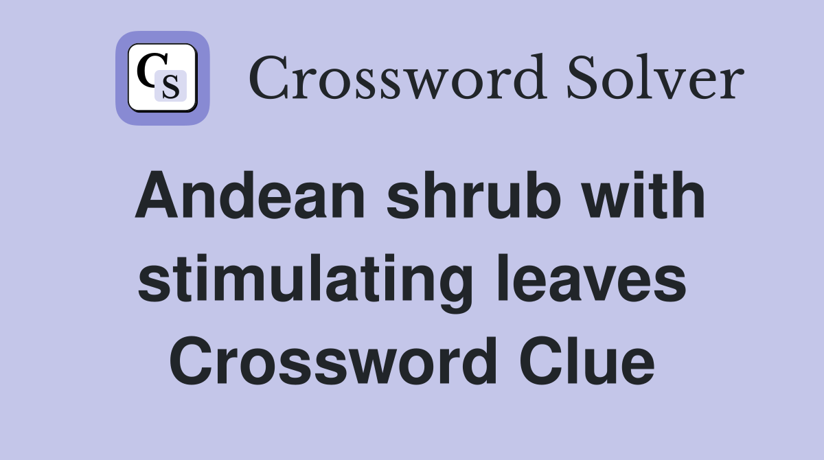 Andean shrub with stimulating leaves Crossword Clue