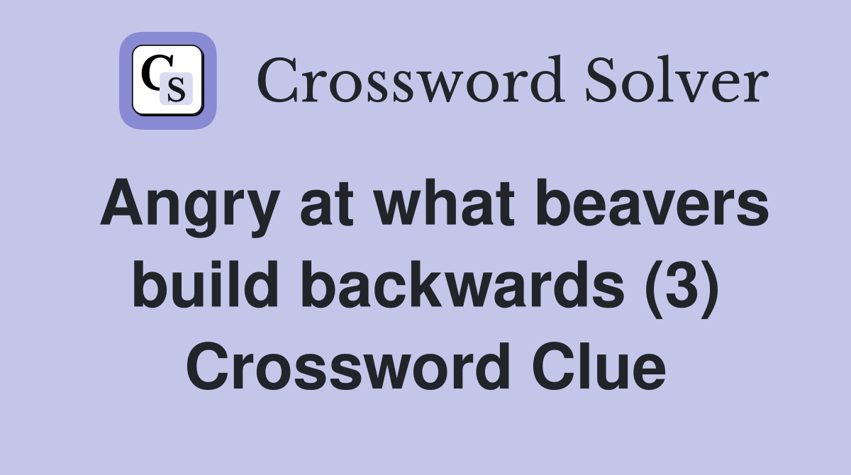 Angry at what beavers build backwards (3) Crossword Clue