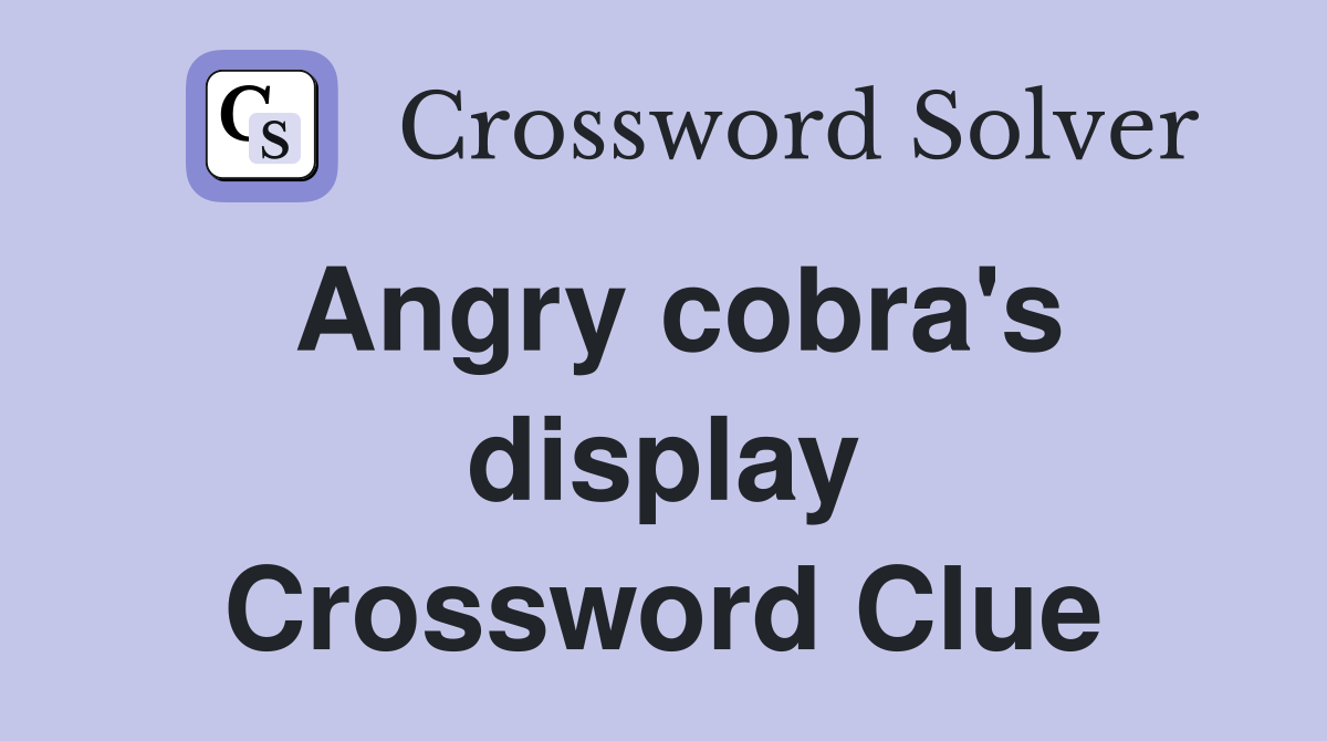 Angry cobra's display Crossword Clue