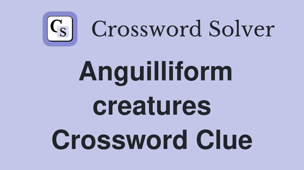 Anguilliform creatures Crossword Clue