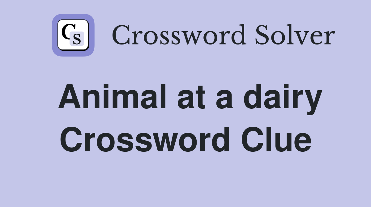 Animal at a dairy Crossword Clue