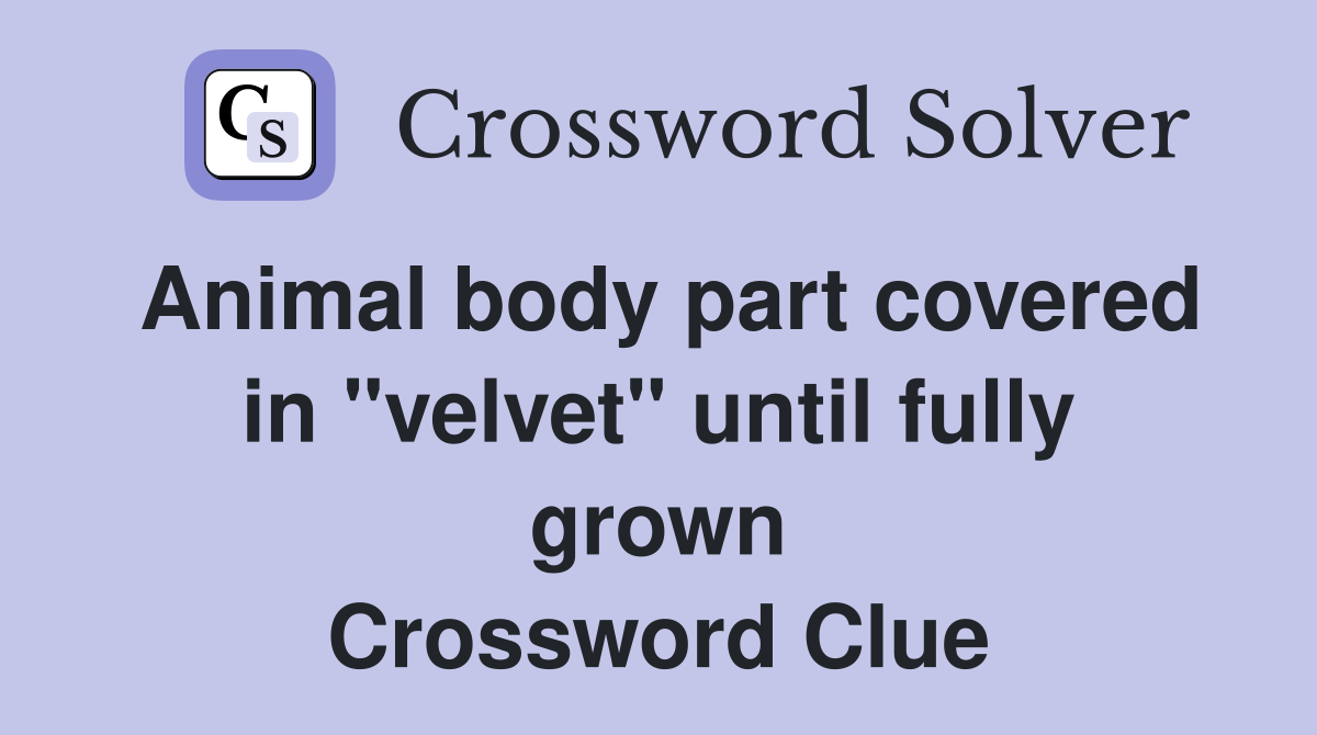 Animal body part covered in "velvet" until fully grown Crossword Clue