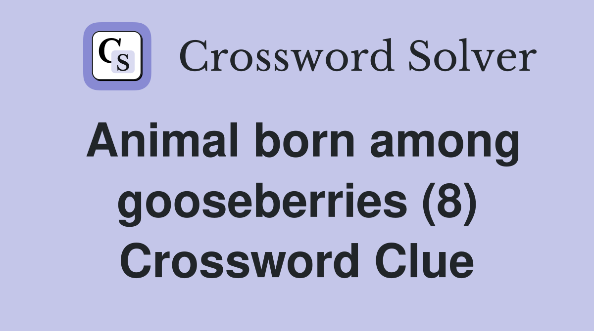 Animal born among gooseberries (8) Crossword Clue