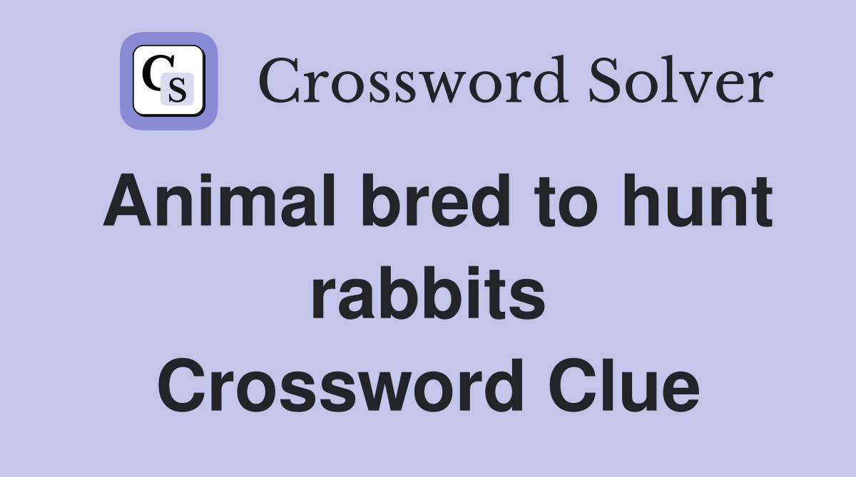 Animal bred to hunt rabbits Crossword Clue