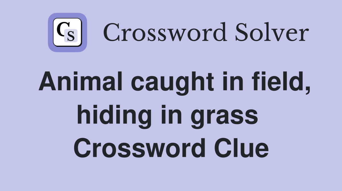 Animal caught in field, hiding in grass  Crossword Clue