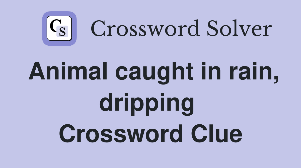 Animal caught in rain, dripping  Crossword Clue