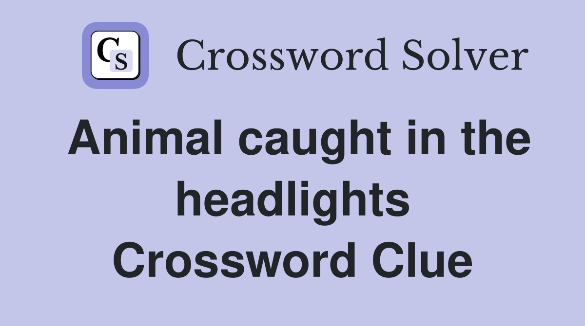 Animal caught in the headlights Crossword Clue