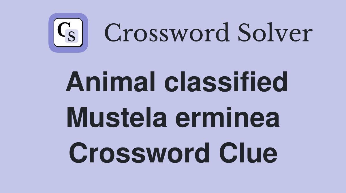 Animal classified Mustela erminea Crossword Clue