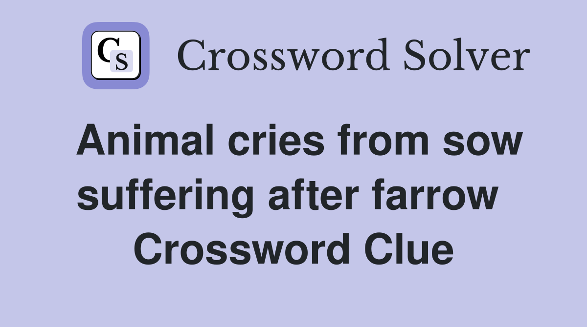 Animal cries from sow suffering after farrow  Crossword Clue