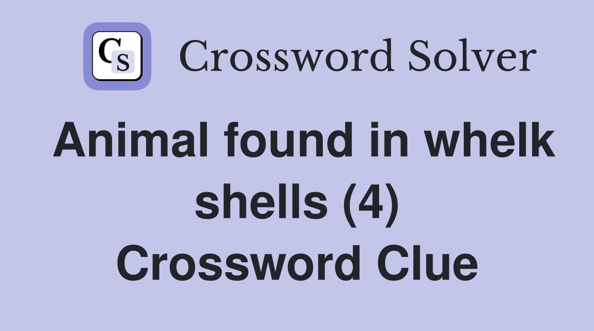 Animal found in whelk shells (4) Crossword Clue