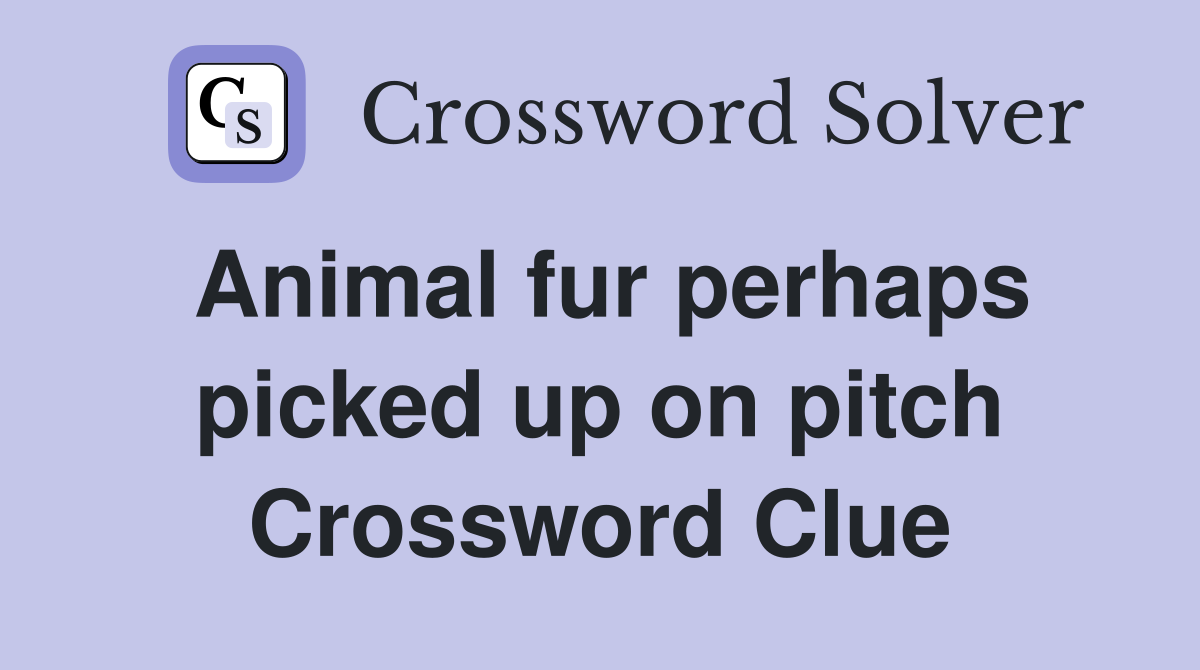 Animal fur perhaps picked up on pitch Crossword Clue