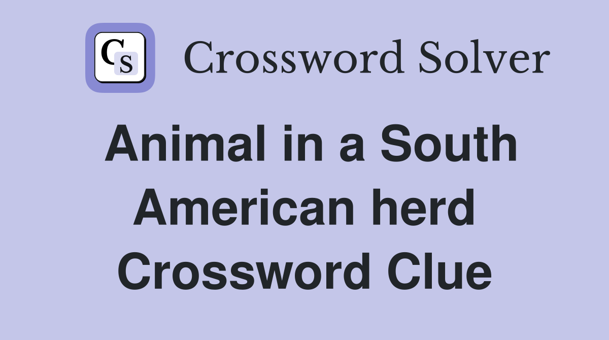 Animal in a South American herd Crossword Clue