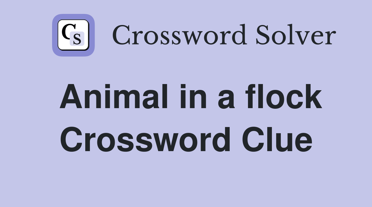 Animal in a flock Crossword Clue