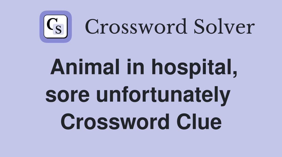 Animal in hospital, sore unfortunately  Crossword Clue