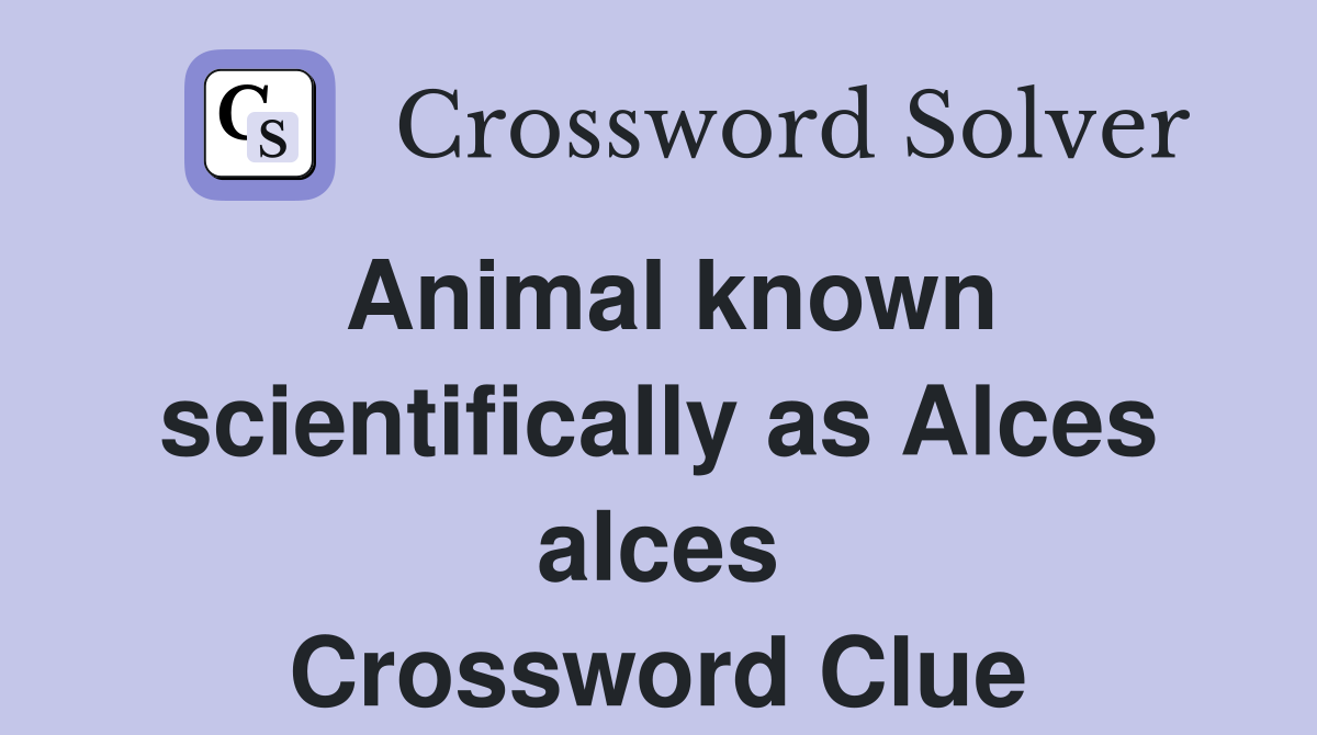 Animal known scientifically as Alces alces Crossword Clue