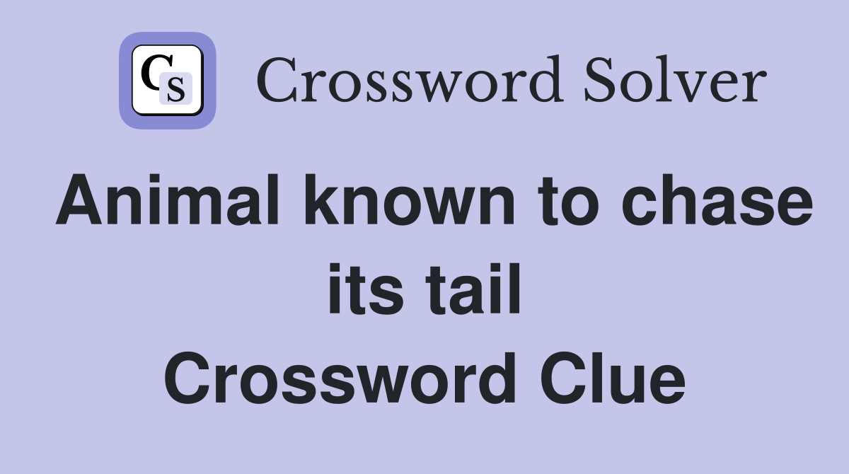 Animal known to chase its tail Crossword Clue
