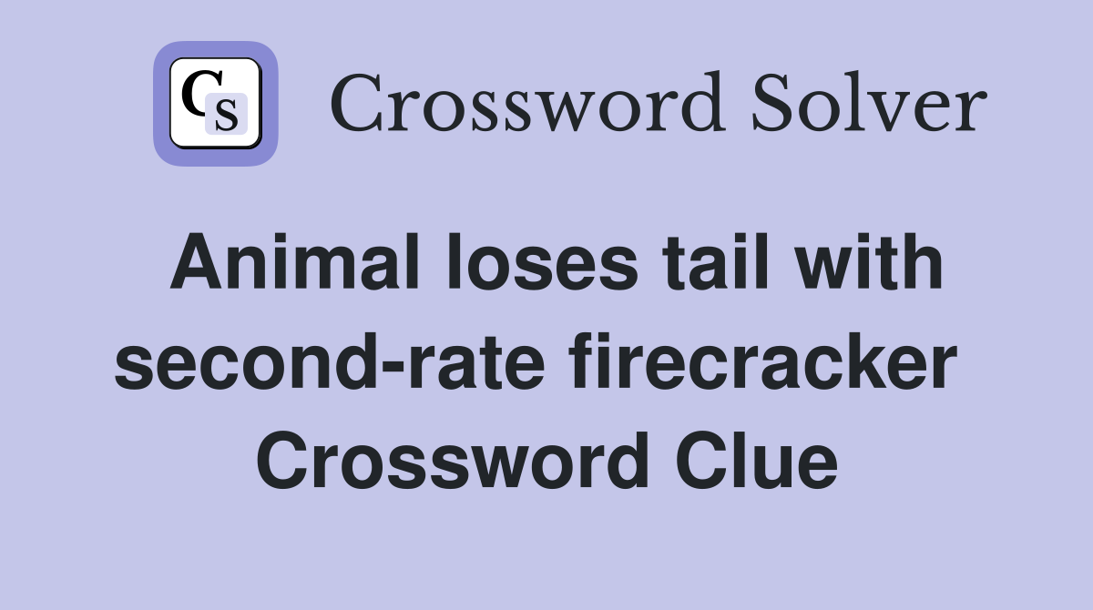 Animal loses tail with second-rate firecracker  Crossword Clue