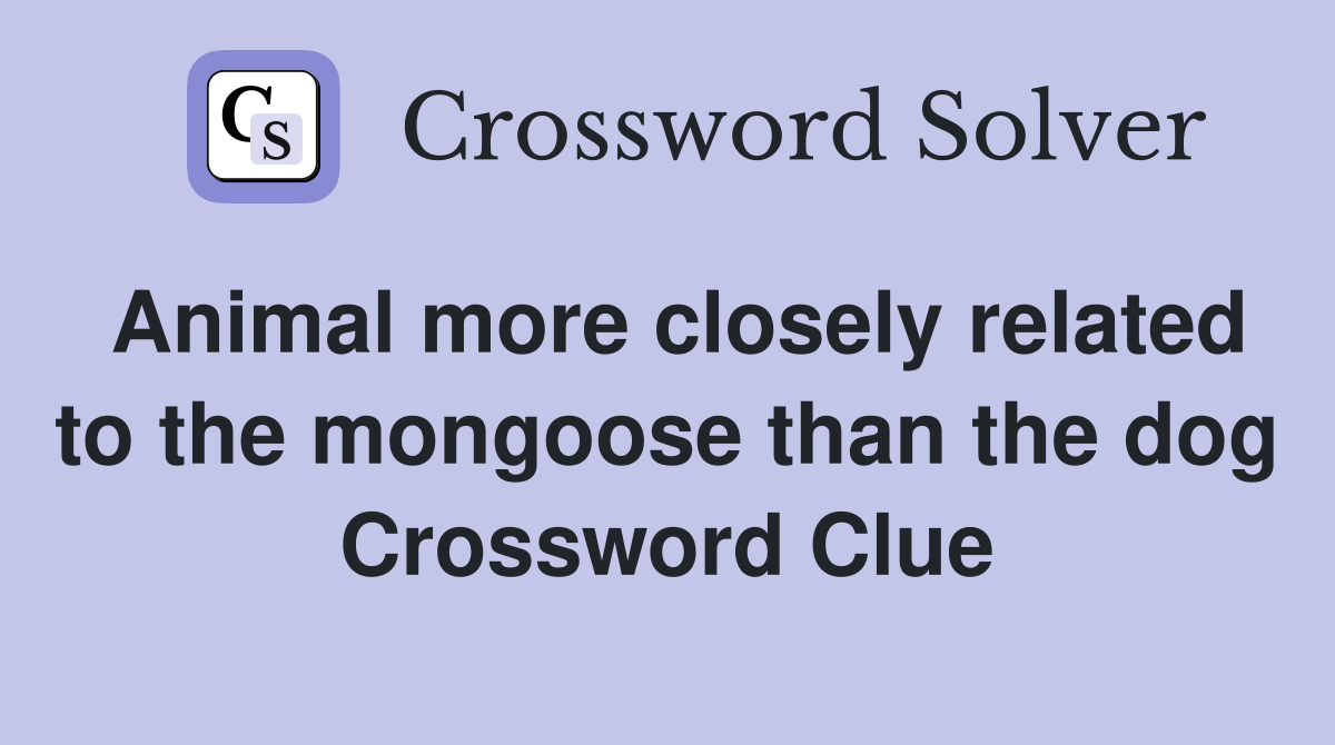 Animal more closely related to the mongoose than the dog Crossword Clue