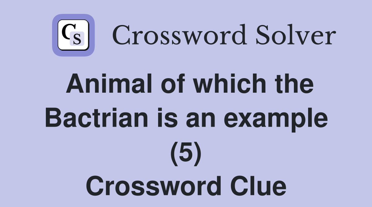Animal of which the Bactrian is an example (5) Crossword Clue