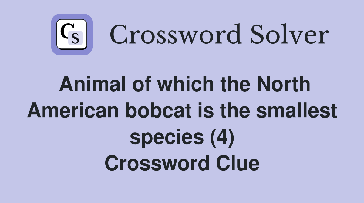 Animal of which the North American bobcat is the smallest species (4) Crossword Clue