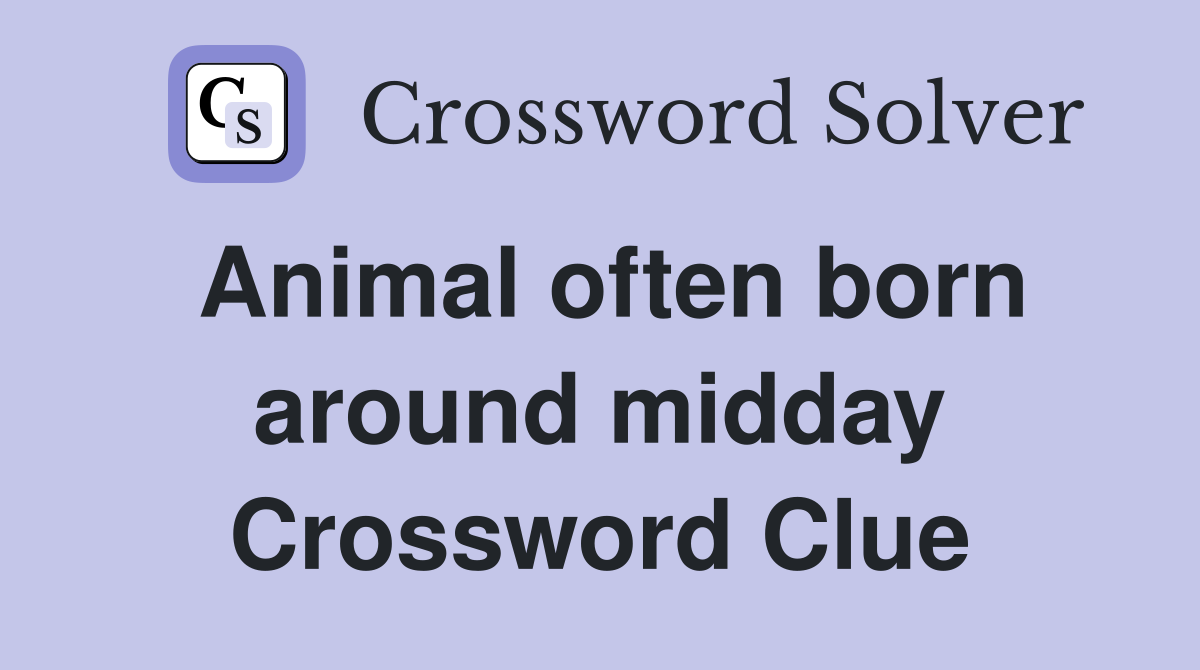 Animal often born around midday Crossword Clue