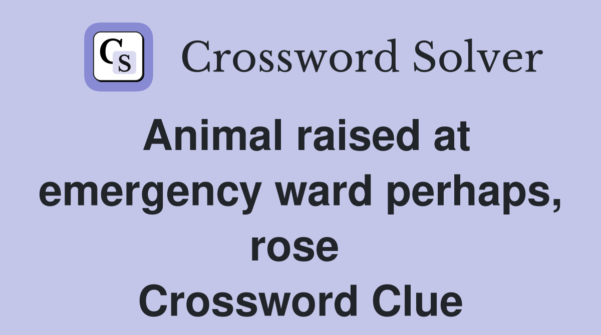 Animal raised at emergency ward perhaps, rose  Crossword Clue