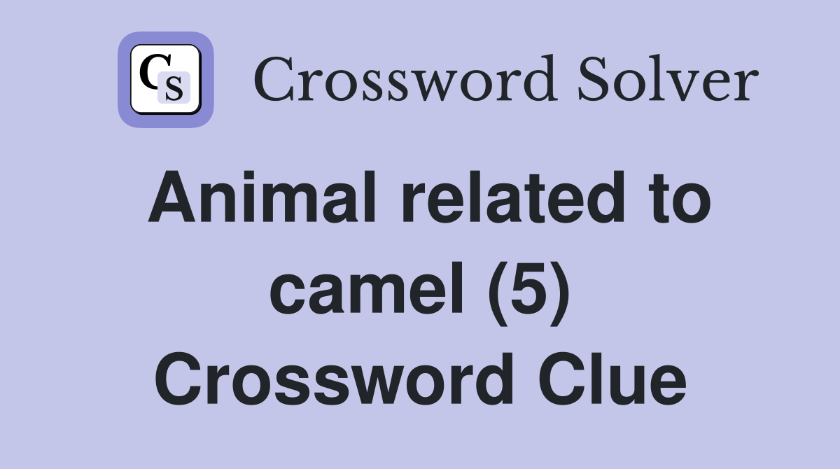 Animal related to camel (5) Crossword Clue