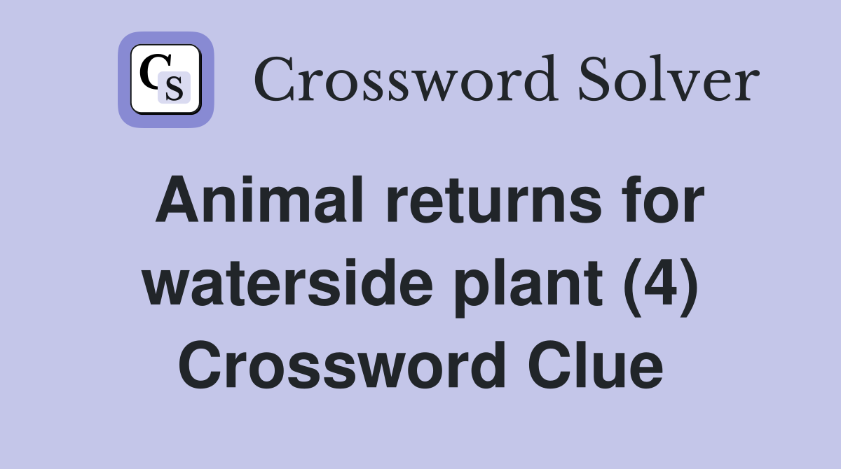 Animal returns for waterside plant (4) Crossword Clue