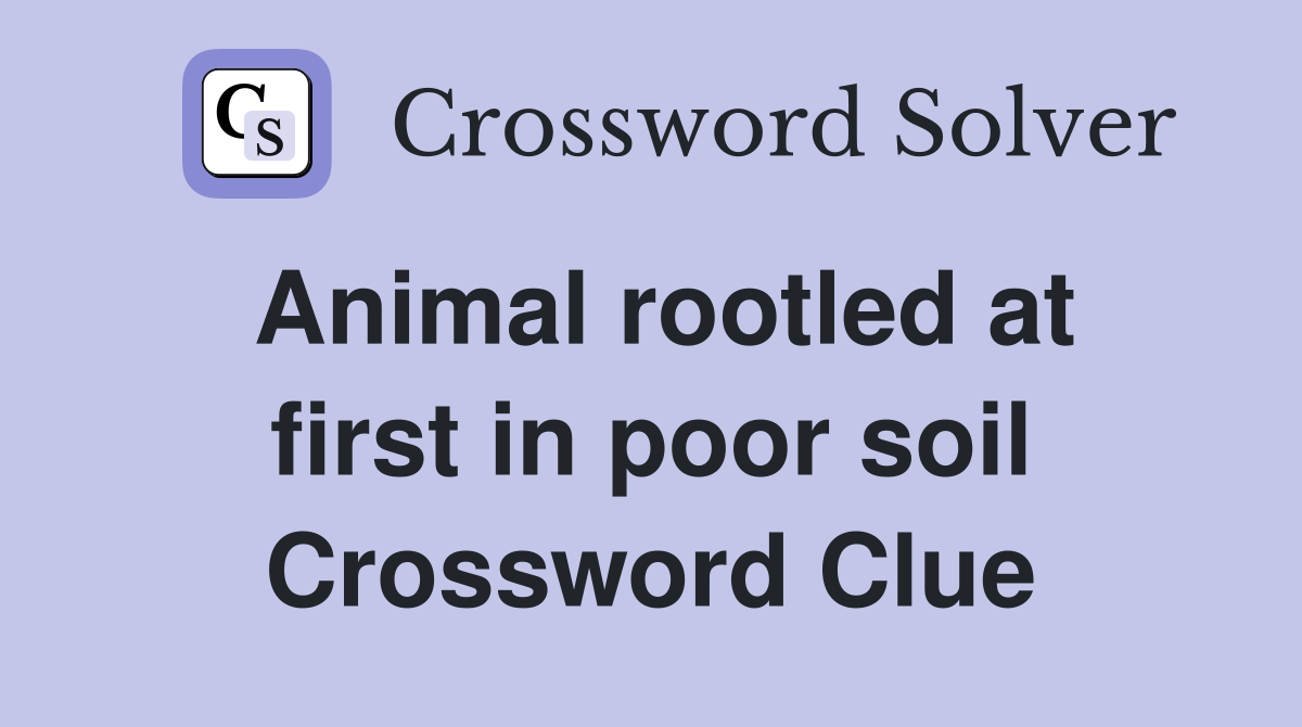Animal rootled at first in poor soil Crossword Clue