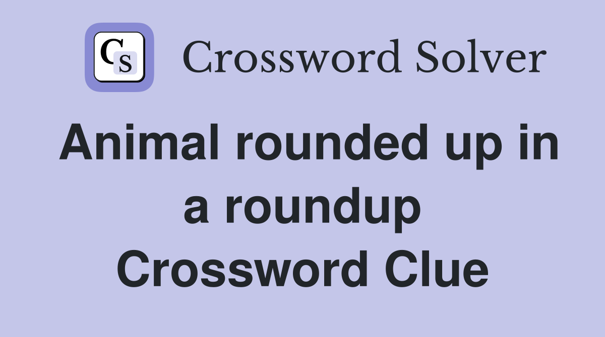 Animal rounded up in a roundup Crossword Clue