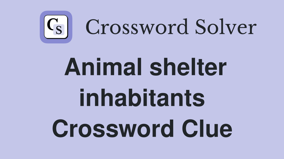 Animal shelter inhabitants Crossword Clue