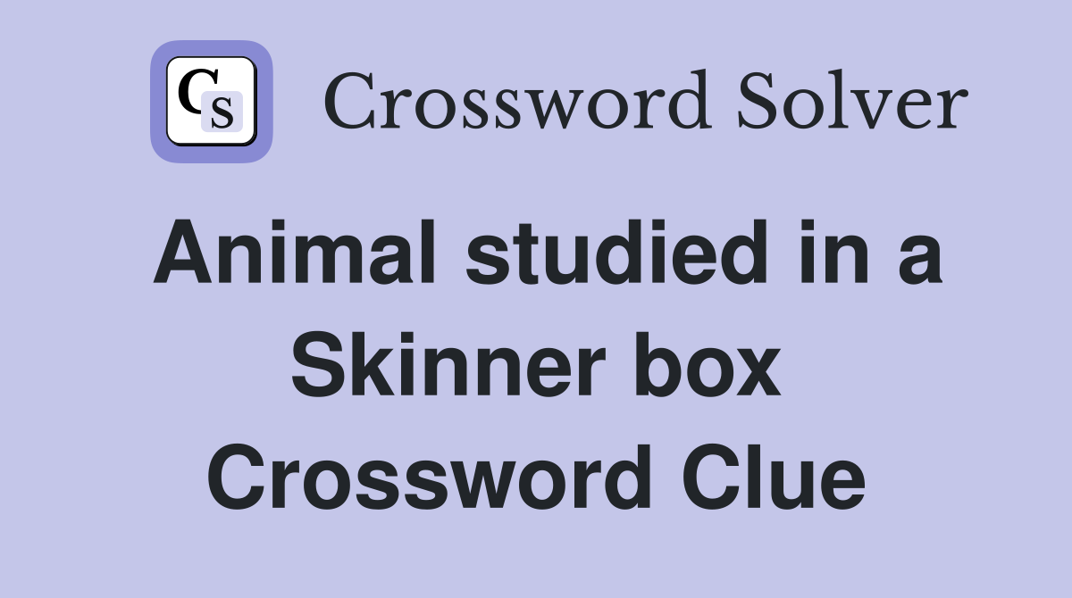 Animal studied in a Skinner box Crossword Clue