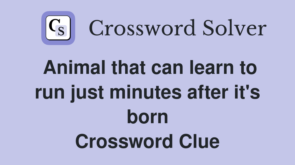 Animal that can learn to run just minutes after it's born Crossword Clue