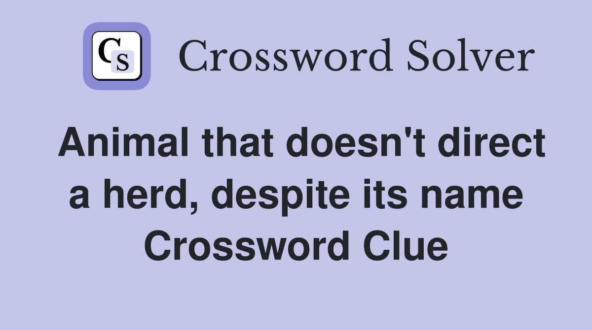 Animal that doesn't direct a herd, despite its name Crossword Clue