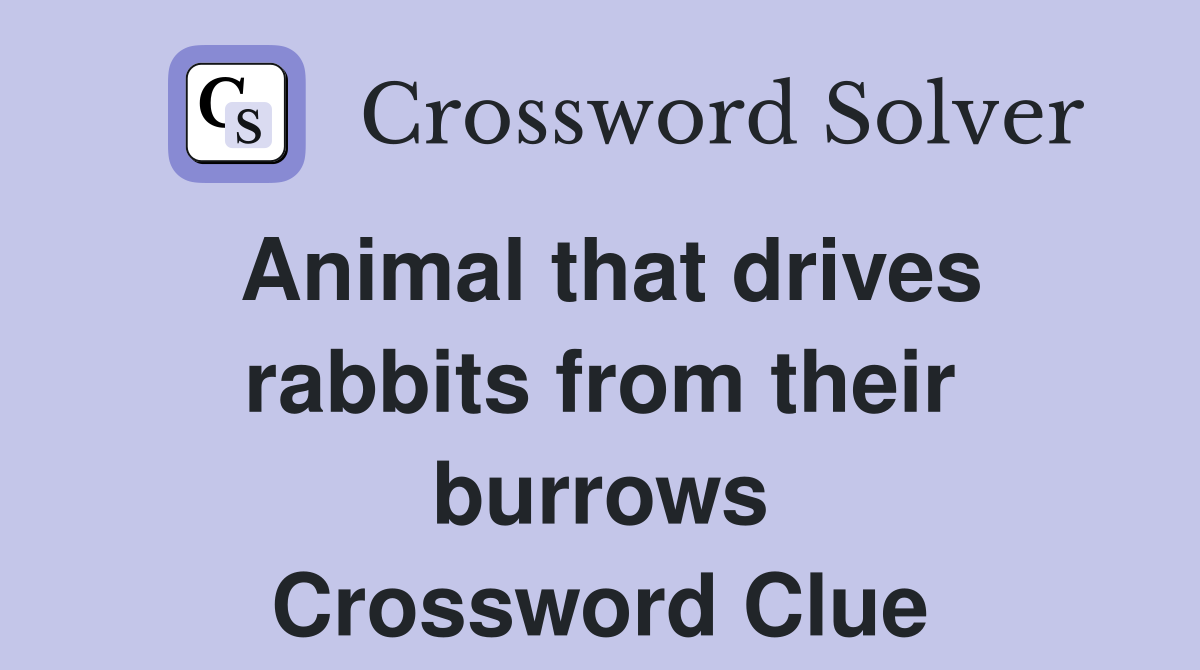 Animal that drives rabbits from their burrows Crossword Clue