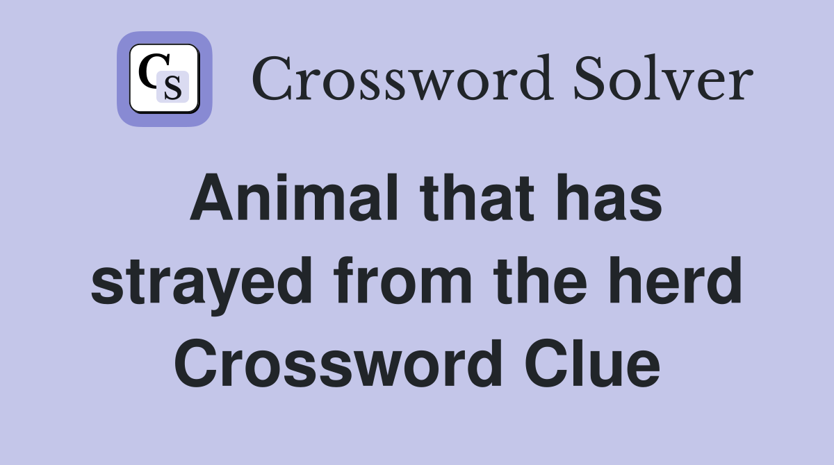 Animal that has strayed from the herd Crossword Clue