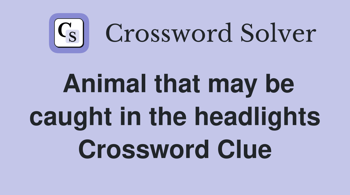 Animal that may be caught in the headlights Crossword Clue