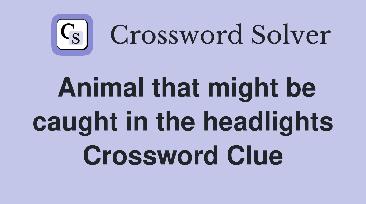 Animal that might be caught in the headlights Crossword Clue