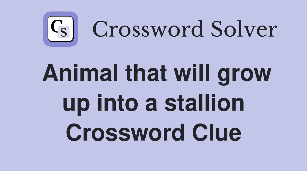Animal that will grow up into a stallion Crossword Clue