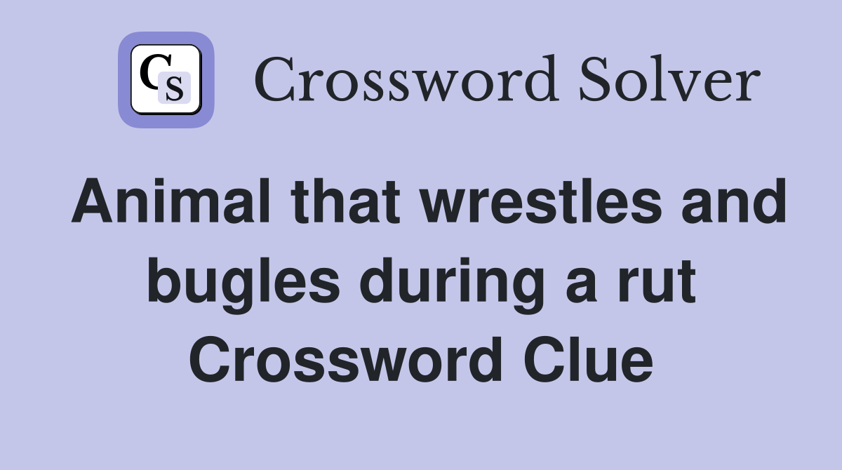 Animal that wrestles and bugles during a rut Crossword Clue