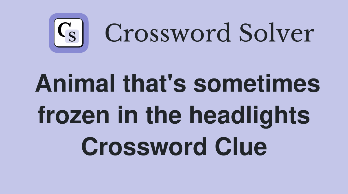 Animal that's sometimes frozen in the headlights Crossword Clue