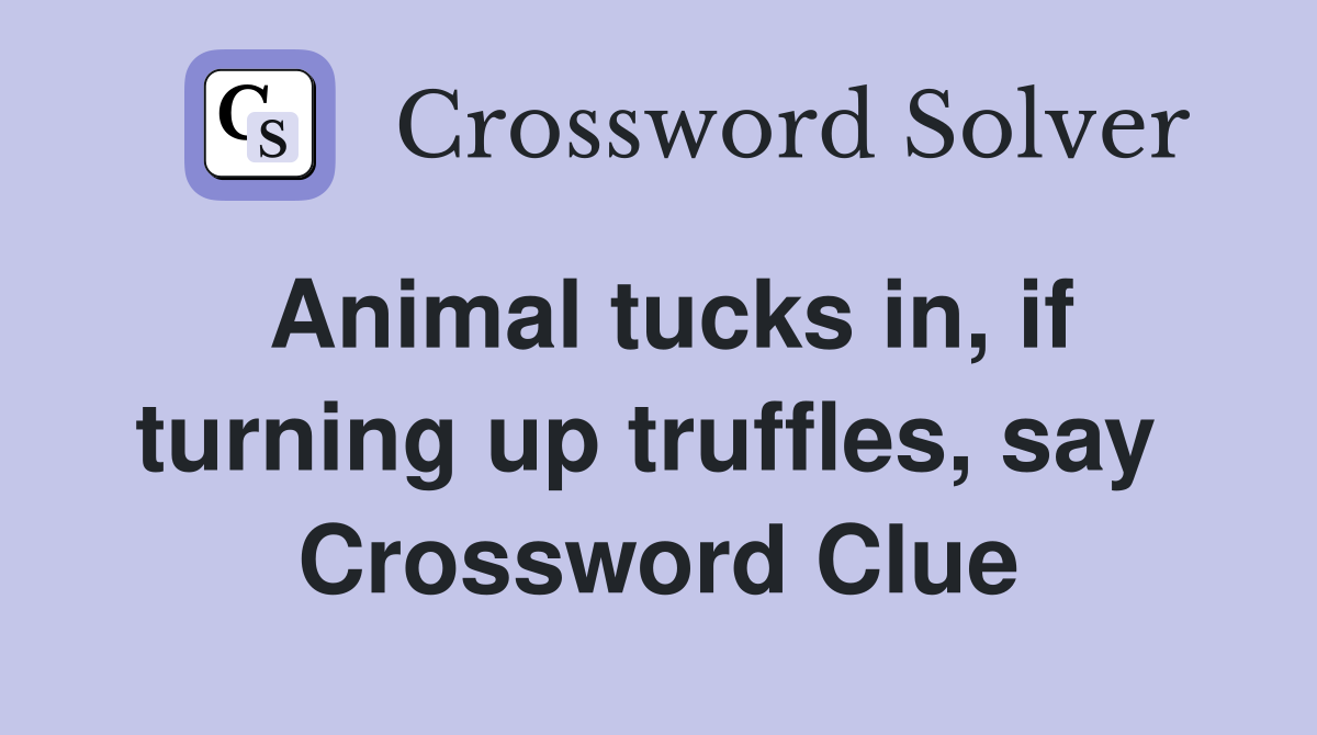 Animal tucks in, if turning up truffles, say  Crossword Clue