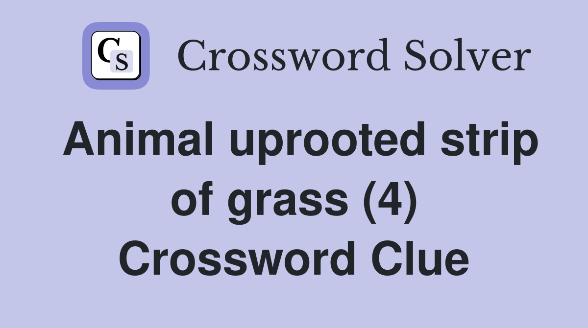 Animal uprooted strip of grass (4) Crossword Clue