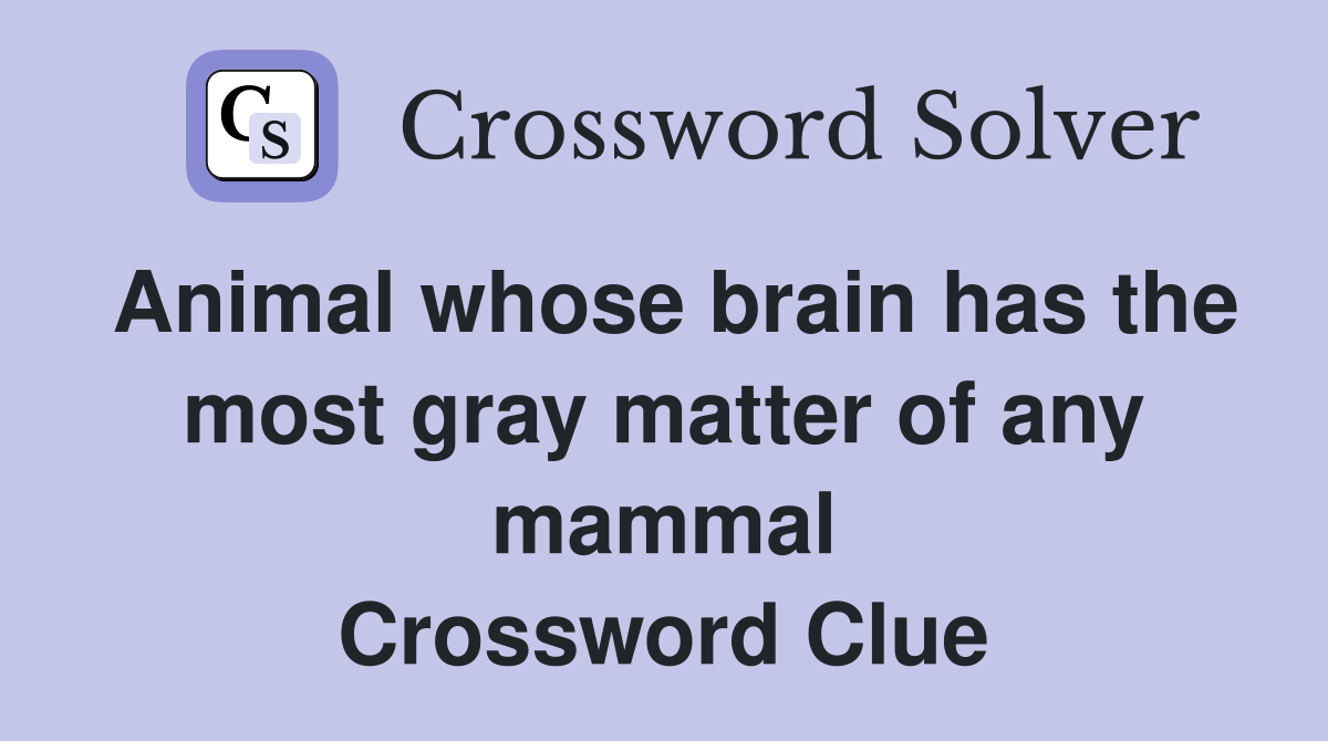 Animal whose brain has the most gray matter of any mammal Crossword Clue