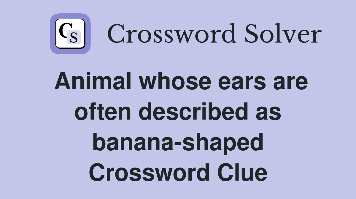 Animal whose ears are often described as banana-shaped Crossword Clue